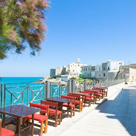 Apartment Elga Trilo 9 - Myho Casa